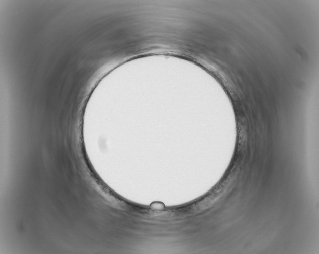 X0000111251375200908131158