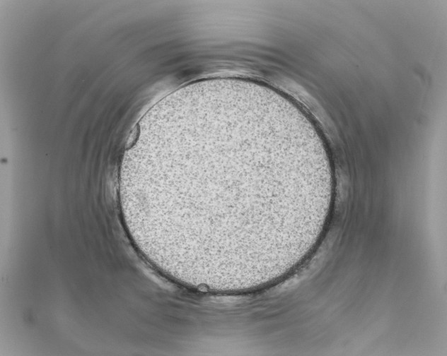 X0000111251377200908131158