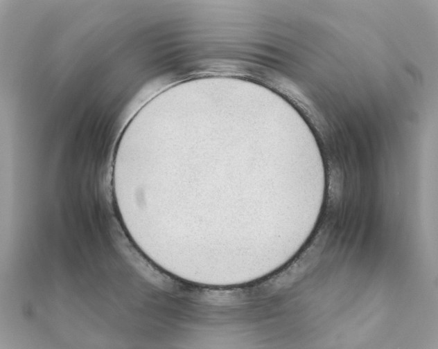 X0000111251378200908131158