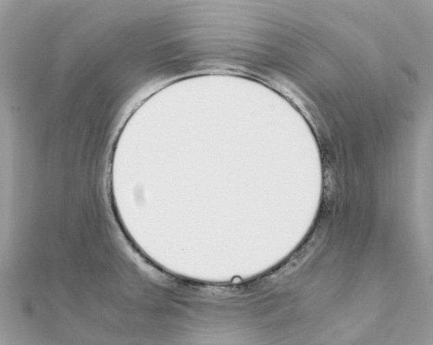 X0000111251379200908131158