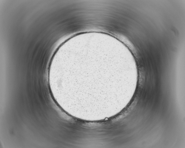 X0000111251380200908131158