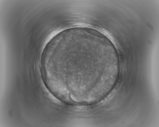 X0000111251381200908131158