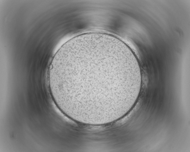 X0000111251382200908131158