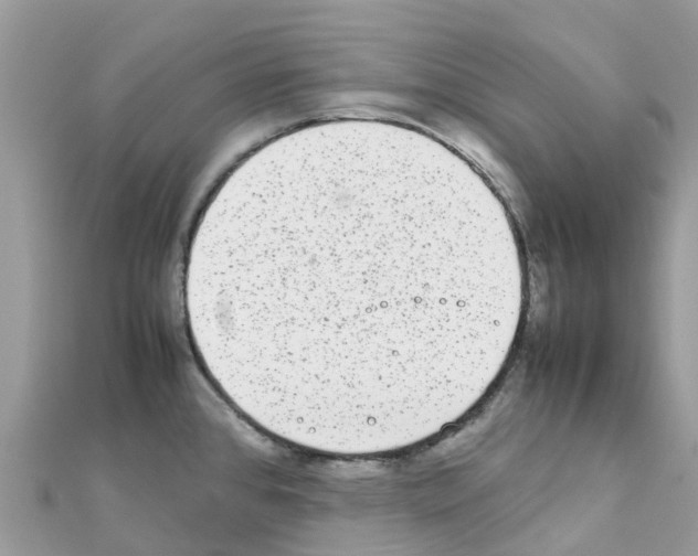 X0000111251384200908131158