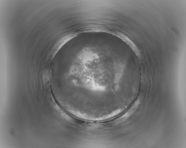 X0000111251385200908131158