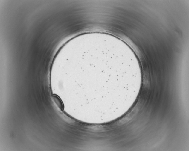 X0000111251388200908131158