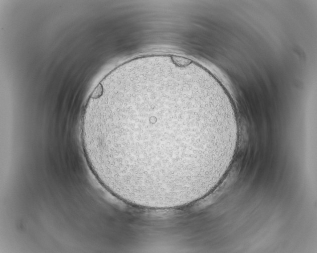 X0000111251390200908131158