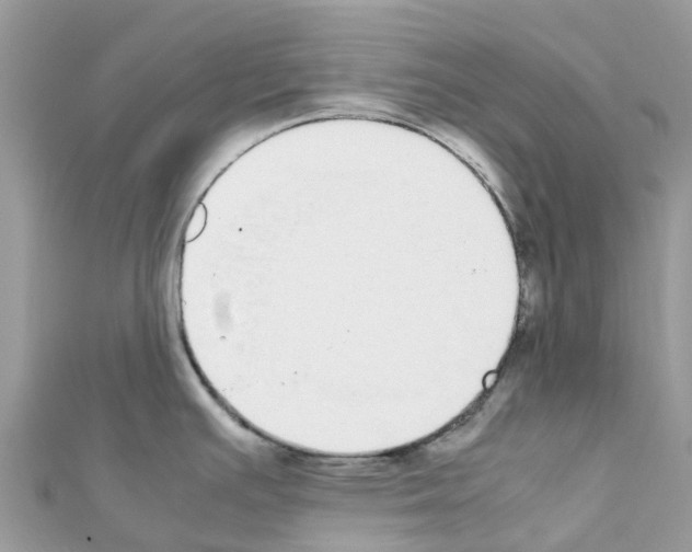 X0000111251391200908131158