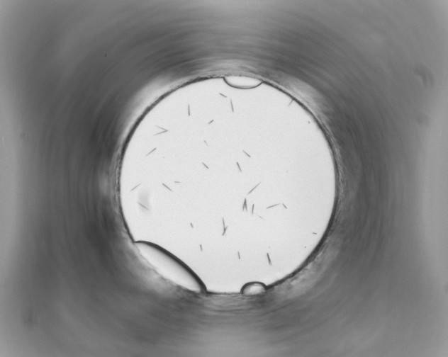 X0000111251392200908131158