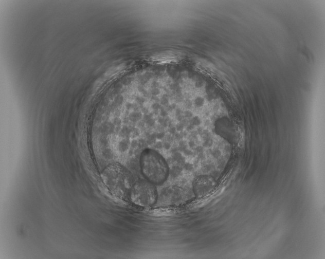 X0000111251393200908131157