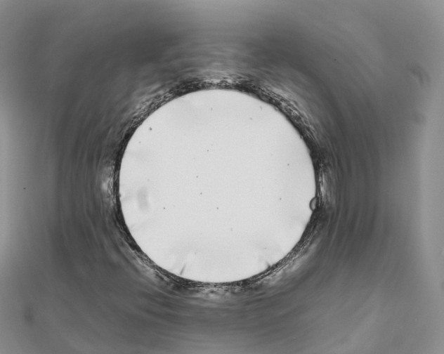 X0000111251396200908131157