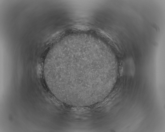 X0000111251397200908131157