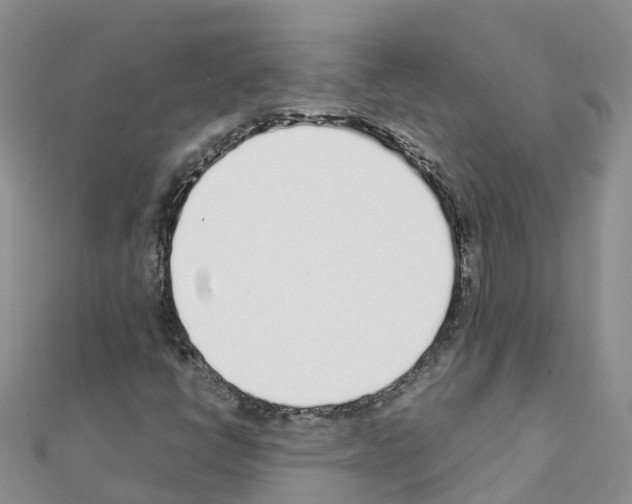 X0000111251398200908131157