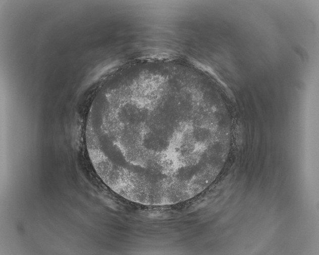 X0000111251399200908131157