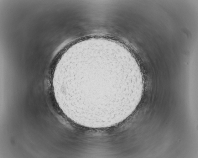 X0000111251400200908131157