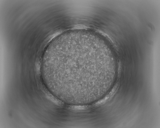 X0000111251401200908131157