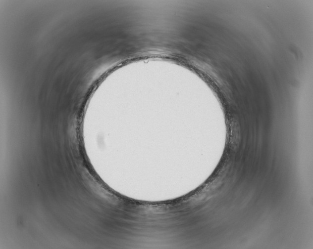 X0000111251404200908131157