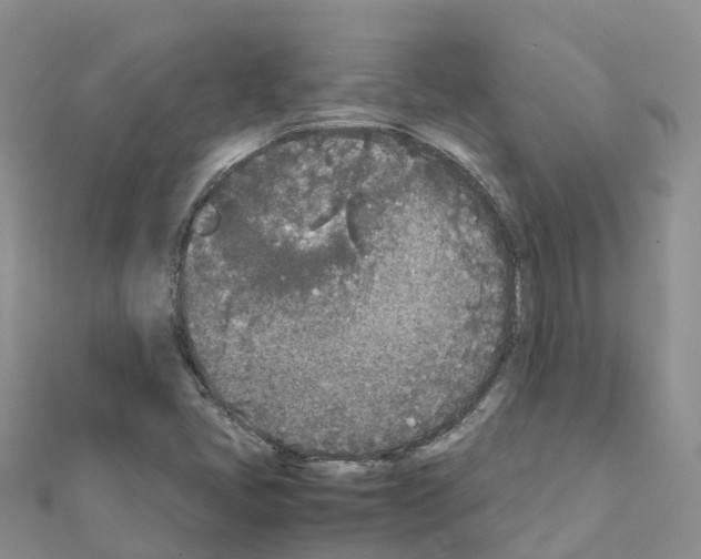 X0000111251405200908131157