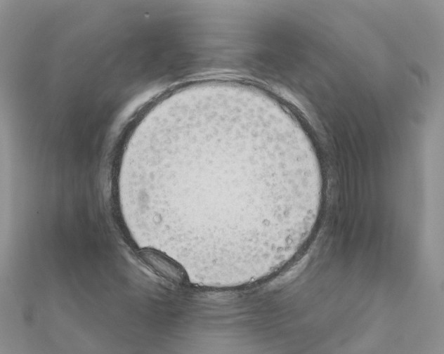 X0000111251406200908131157