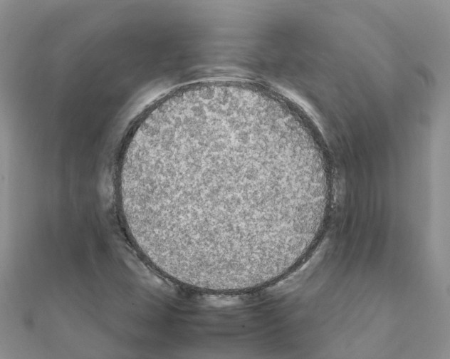 X0000111251407200908131157