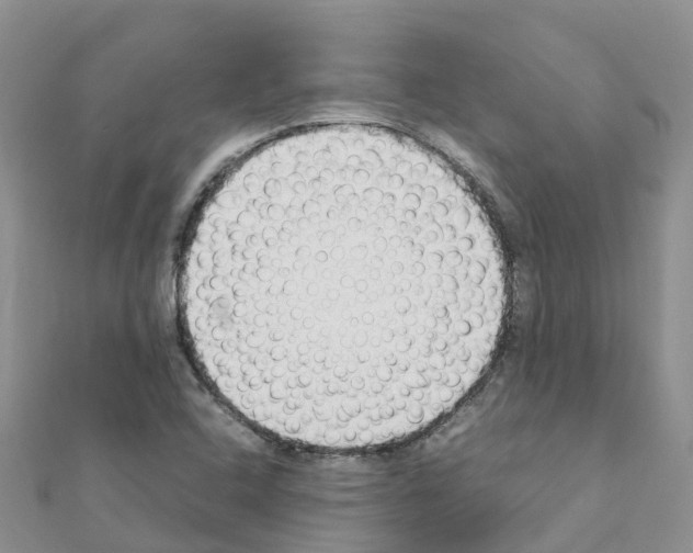 X0000111251408200908131157