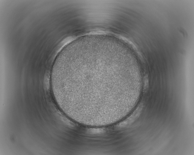 X0000111251409200908131157