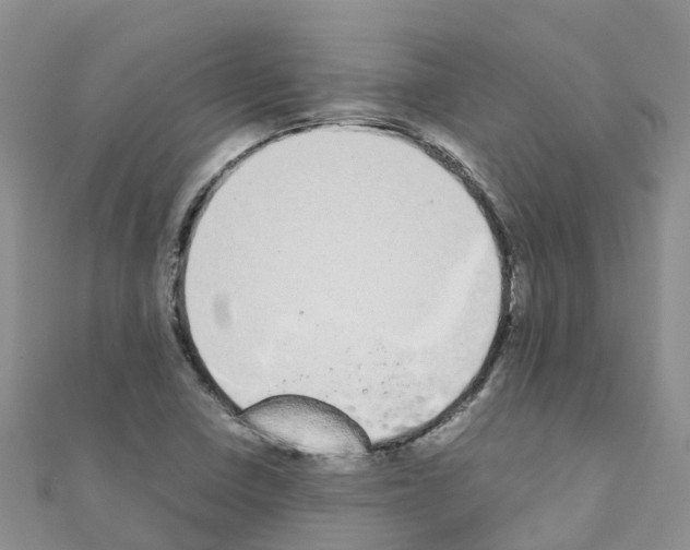 X0000111251410200908131157