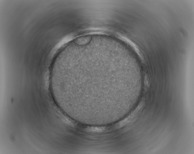 X0000111251411200908131157