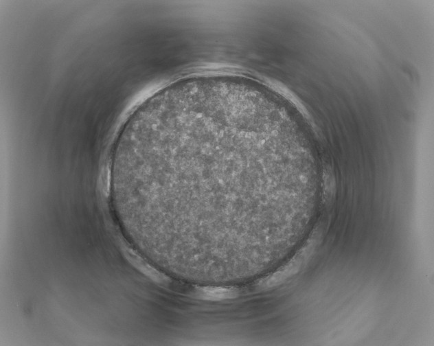 X0000111251413200908131157