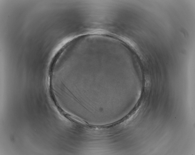 X0000111251414200908131157