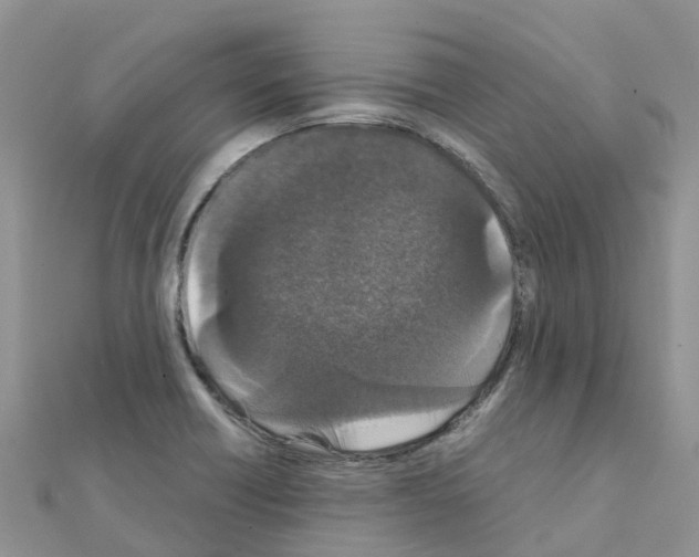 X0000111251418200908131157