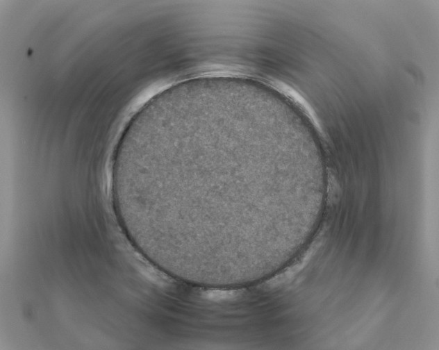 X0000111251419200908131157