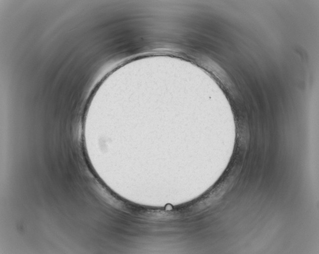 X0000111251420200908131157