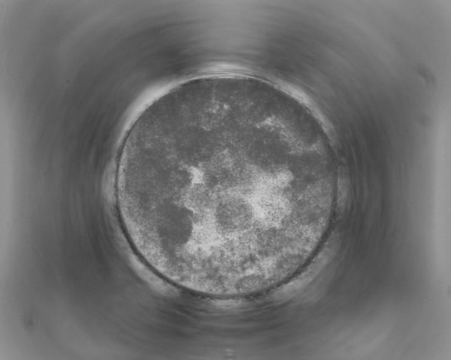 X0000111251421200908131157