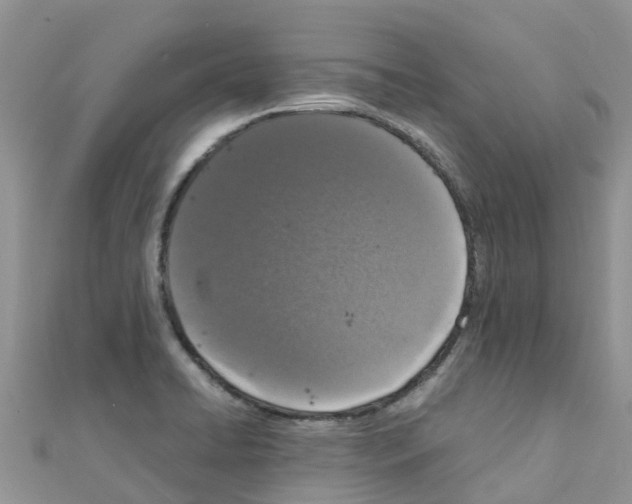 X0000111251422200908131157