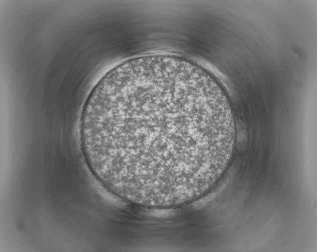 X0000111251423200908131157