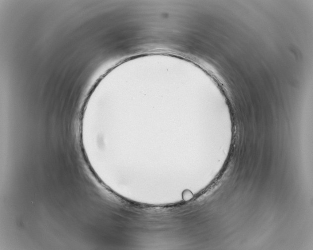 X0000111251424200908131158