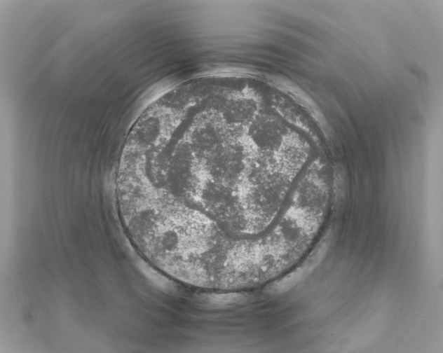 X0000111251425200908131158