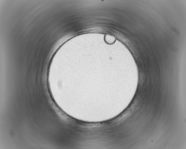 X0000111251426200908131158