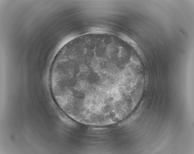 X0000111251427200908131158