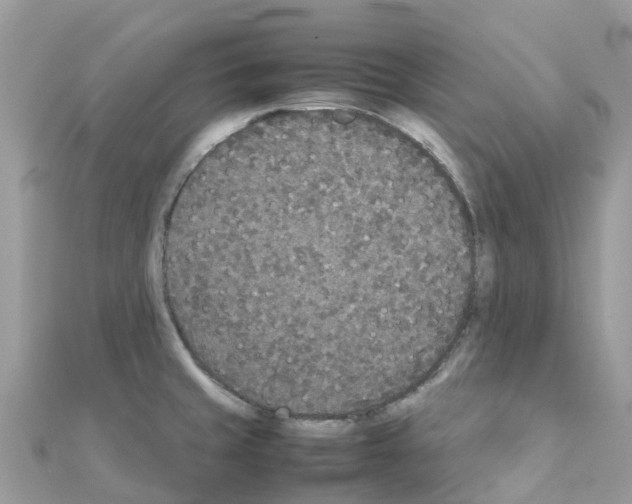 X0000111251429200908131158