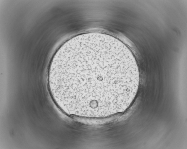 X0000111251430200908131158