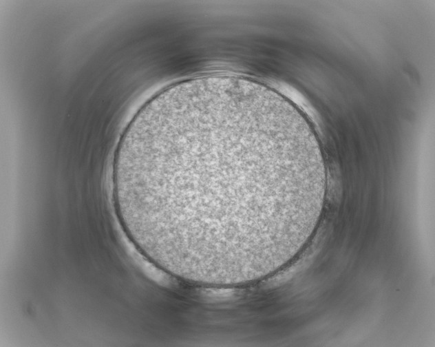 X0000111251431200908131158