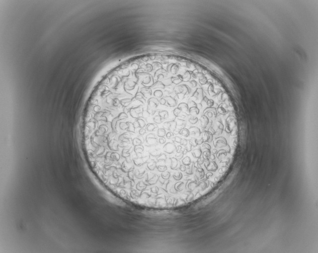 X0000111251432200908131158