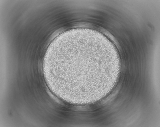 X0000111251433200908131158