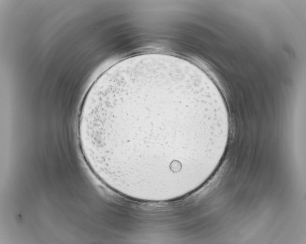 X0000111251434200908131158