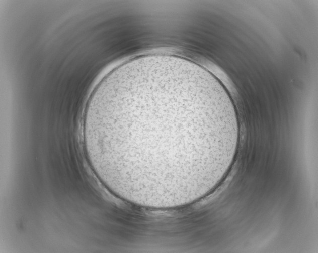 X0000111251436200908131158