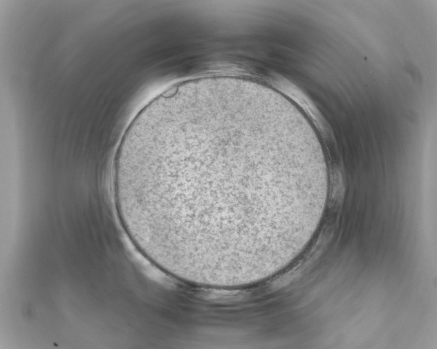 X0000111251439200908131158