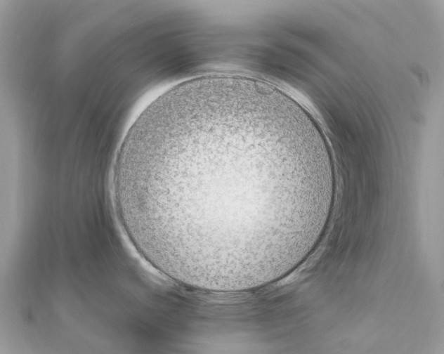 X0000111251440200908131158