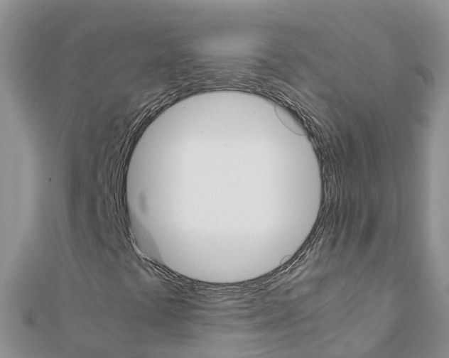 X0000111251441200908131157